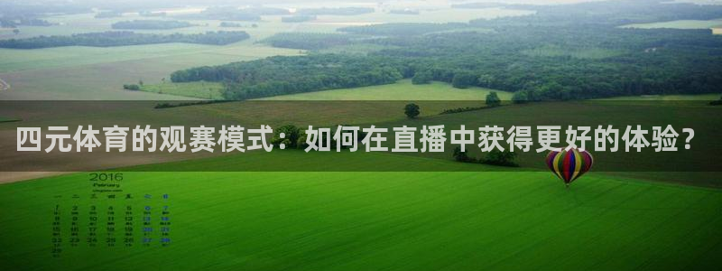 919体育在线直播官网：四元体育的观赛模式：如何在直播中获得更好的体验？