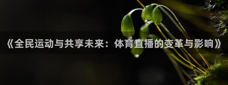 919直播：《全民运动与共享未来：体育直播的变革与影响》