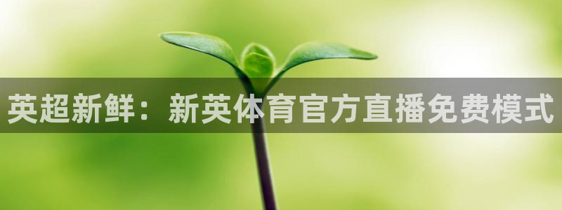 01zbtv直播体育919：英超新鲜：新英体育官方直播免费模式