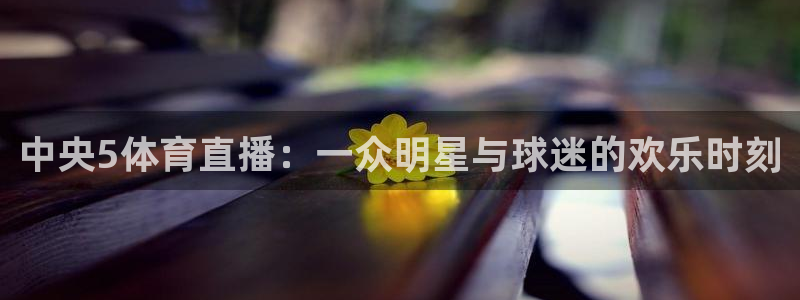 919看足球直播：中央5体育直播：一众明星与球迷的欢乐时刻