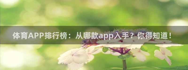 919直播官网：体育APP排行榜：从哪款app入手？你得知道！