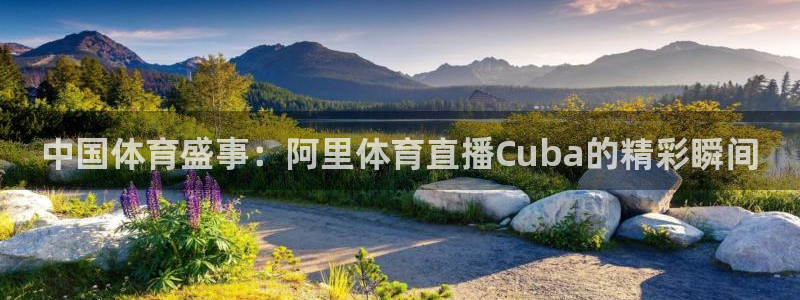 919直播看球在线观看：中国体育盛事：阿里体育直播Cuba的精彩瞬间
