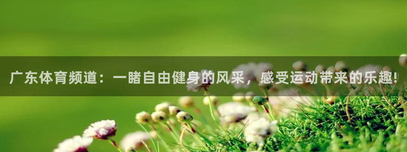 919看球直播app：广东体育频道：一睹自由健身的风采，感受运动带来的乐趣!