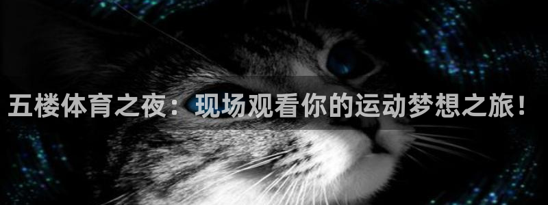 919体育直播下载：五楼体育之夜：现场观看你的运动梦想之旅！