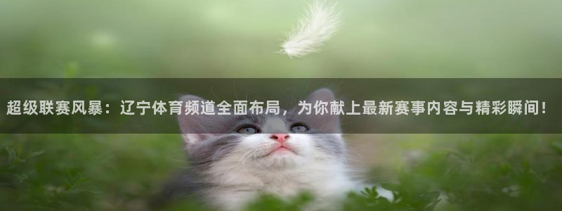 919篮球直播：超级联赛风暴：辽宁体育频道全面布局，为你献上最新赛事内容与精彩瞬间！