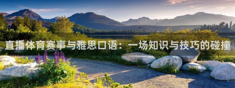919体育直播app：直播体育赛事与雅思口语：一场知识与技巧的碰撞