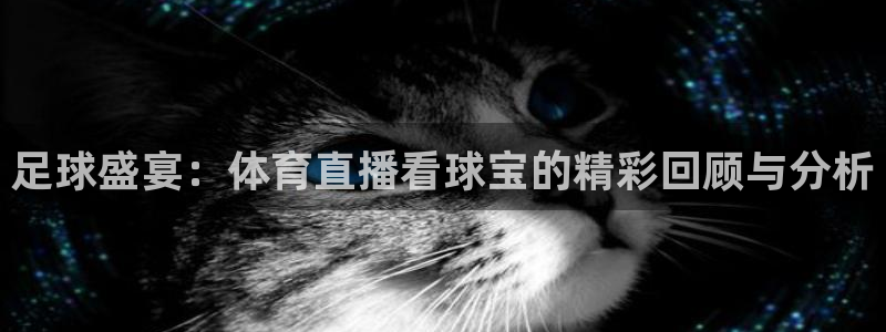 919看球直播：足球盛宴：体育直播看球宝的精彩回顾与分析