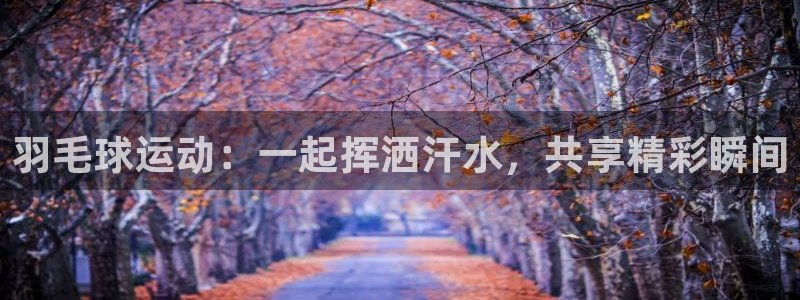 919体育直播：羽毛球运动：一起挥洒汗水，共享精彩瞬间