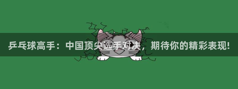 919nba直播看球观看：乒乓球高手：中国顶尖选手对决，期待你的精彩表现!