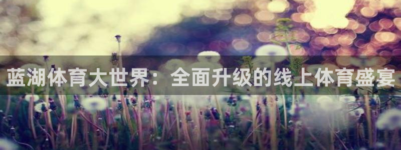 919看球直播nba：蓝湖体育大世界：全面升级的线上体育盛宴