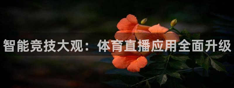 919篮球直播：智能竞技大观：体育直播应用全面升级